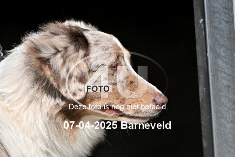 250407 0055