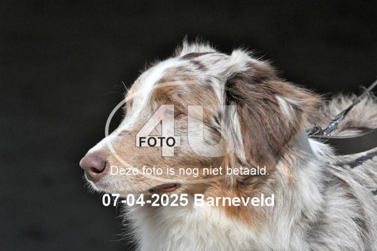 250407 0244