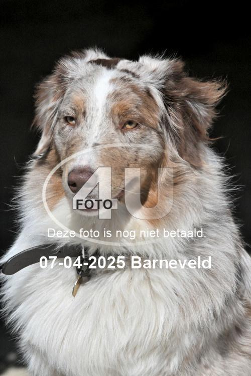 250407 0247