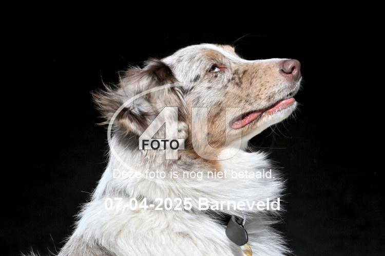 250407 0251