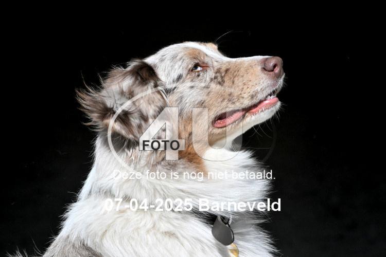 250407 0252