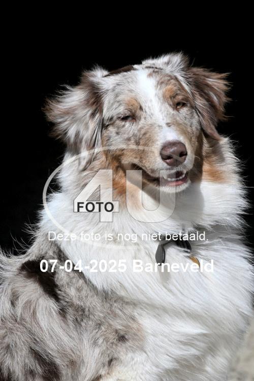 250407 0253