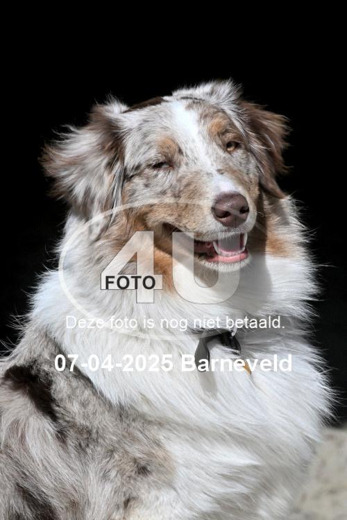 250407 0254
