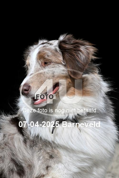 250407 0257