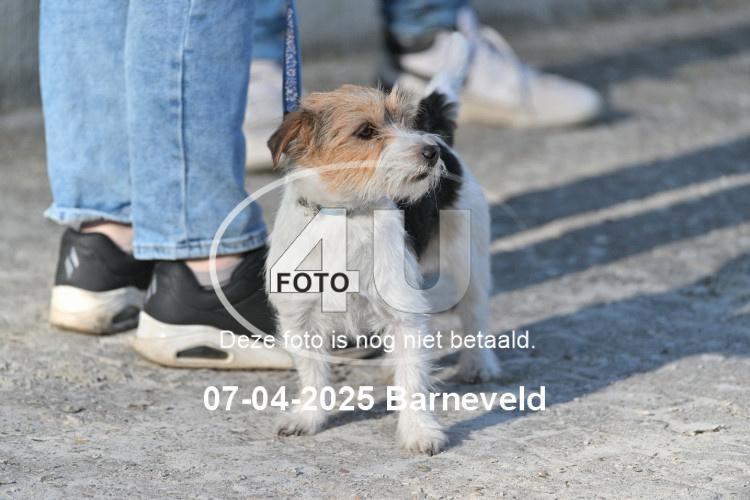 250407 2004