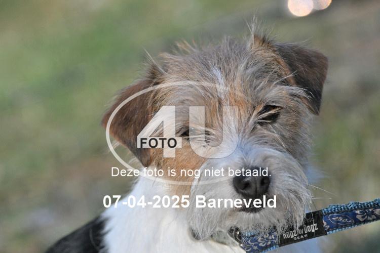 250407 2085