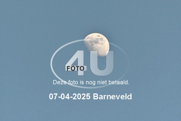 250407 2913