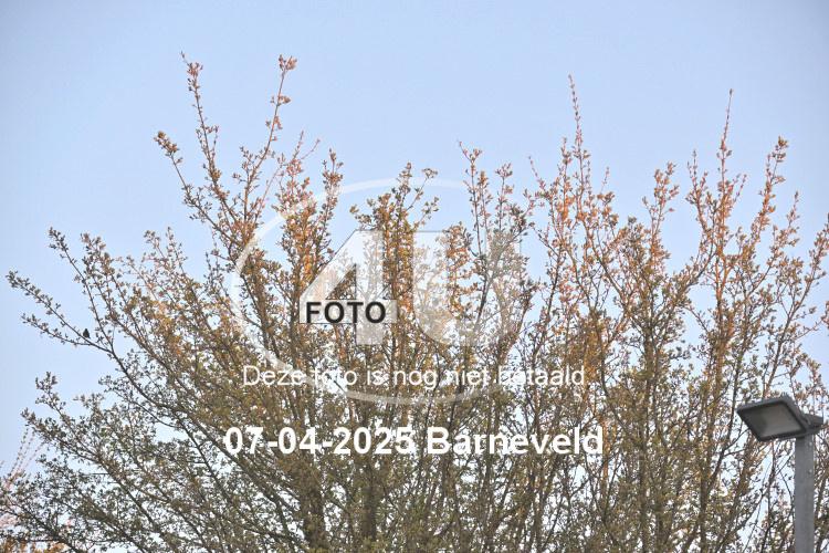 250407 2975