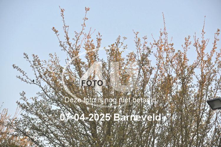 250407 2976