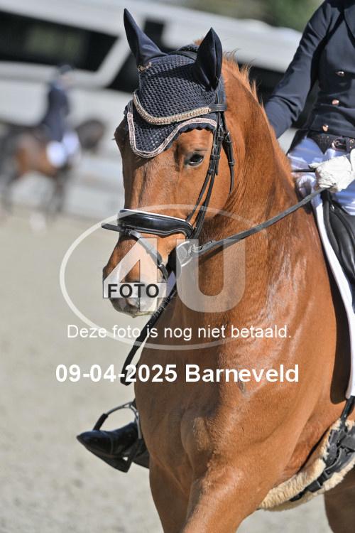 250409 1242