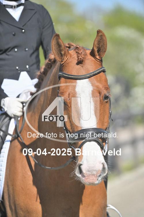 250409 1660