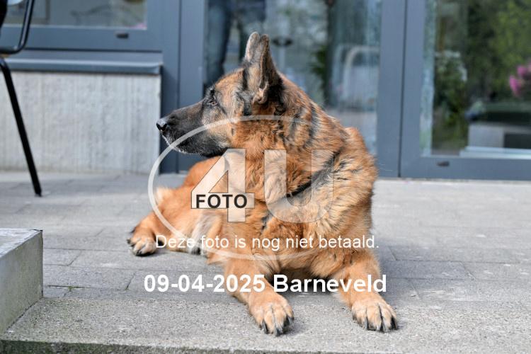 250409 2340