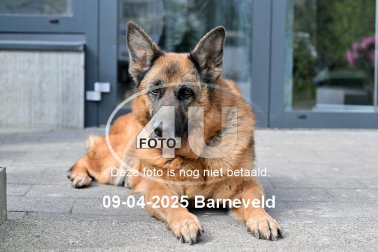 250409 2342
