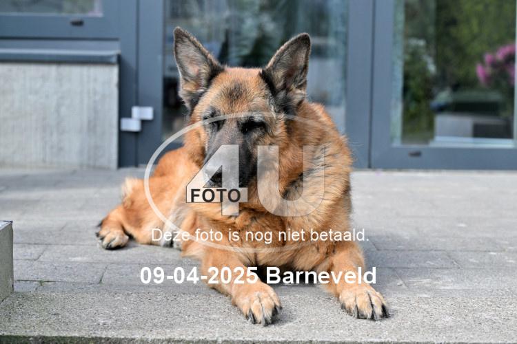 250409 2343