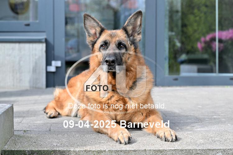 250409 2346