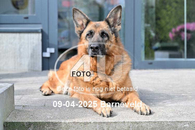 250409 2347
