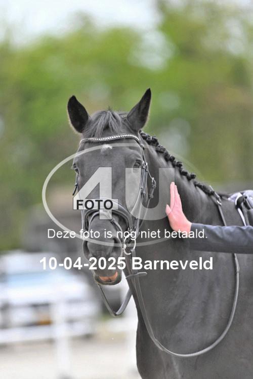 250410 0569