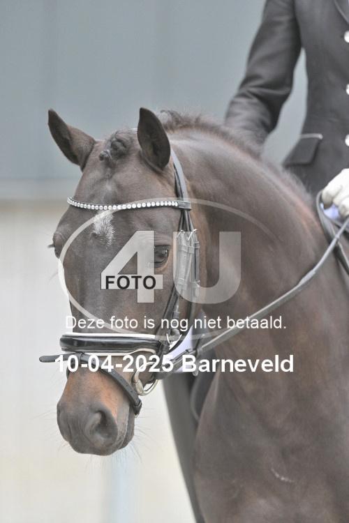 250410 0786