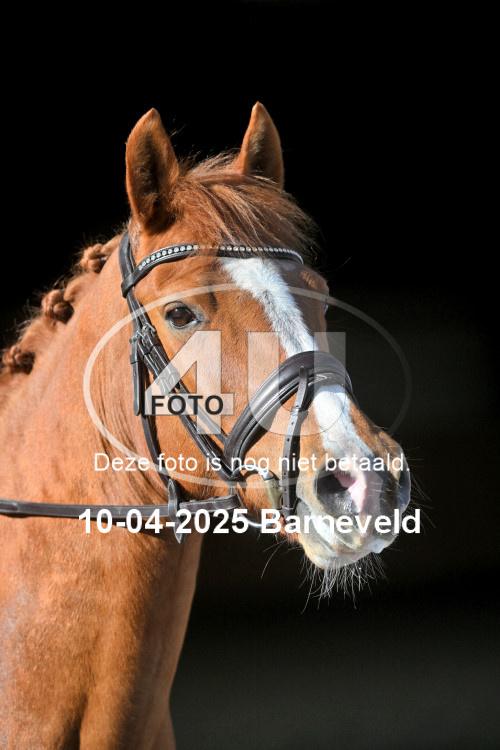 250410 3191