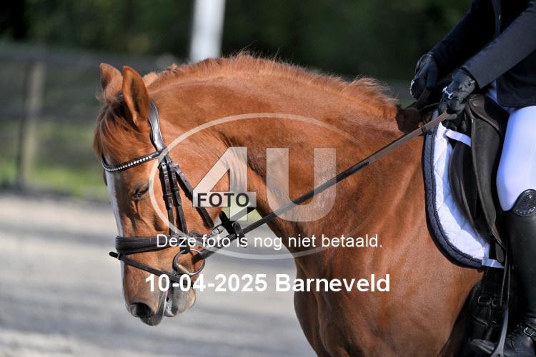 250410 3244