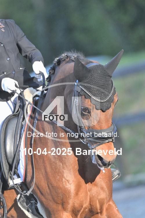 250410 3592