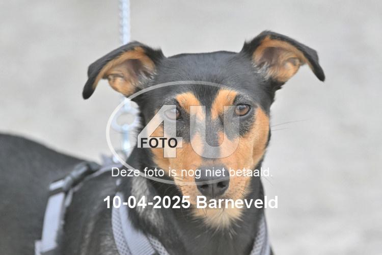 250410 3777