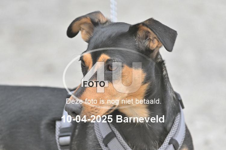 250410 3781