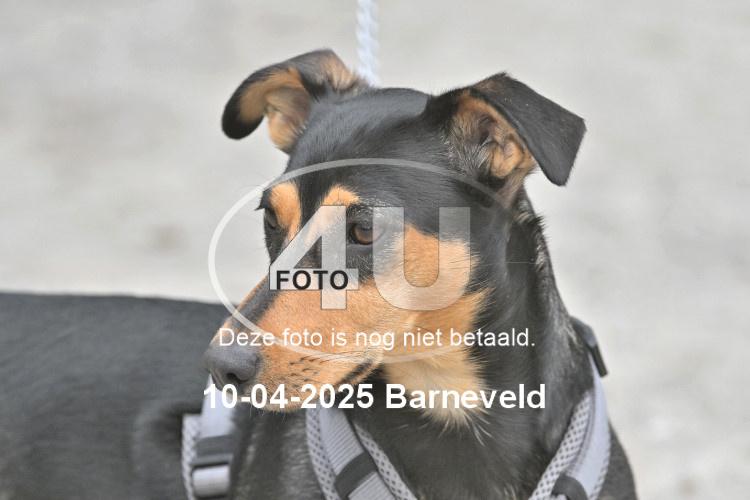 250410 3782