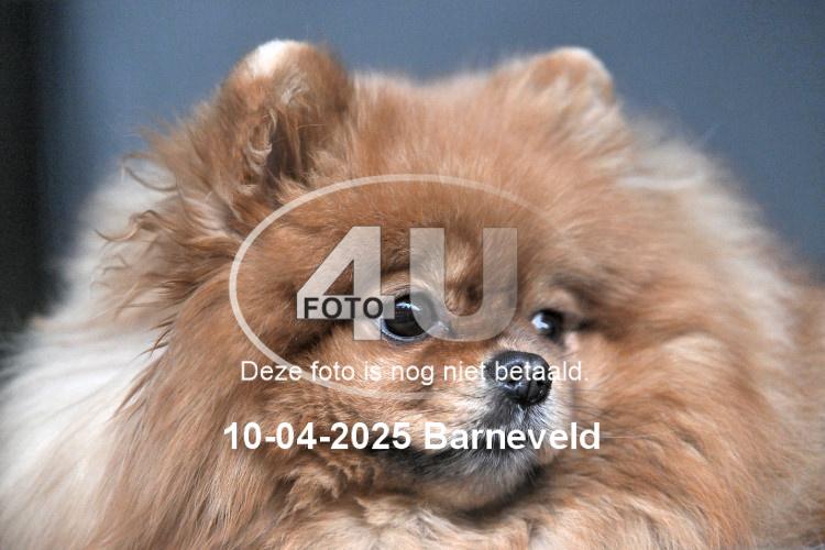 250410 3789