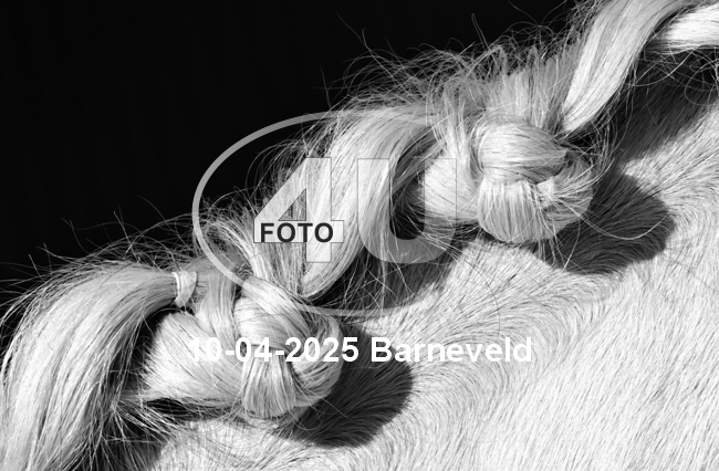 10-04-2025 Barneveld
