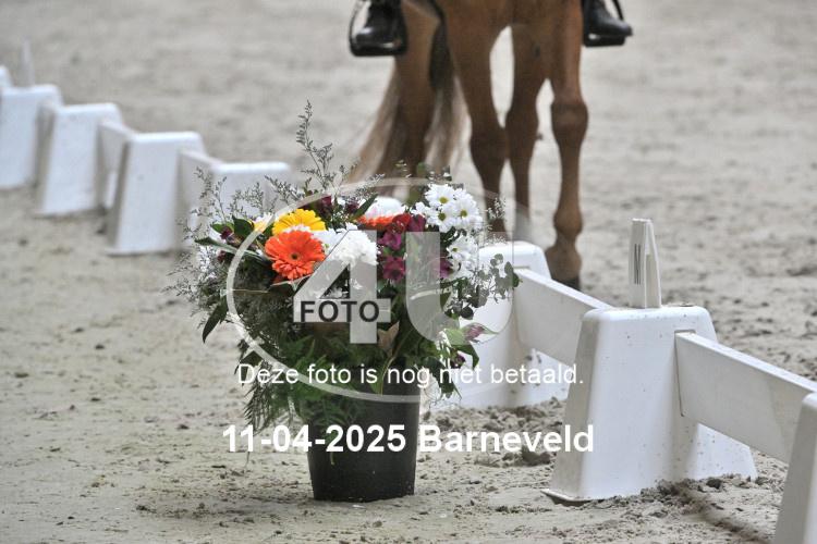 250411 0113