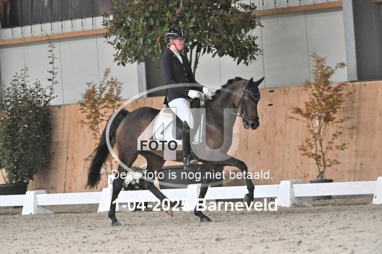 250411 0144