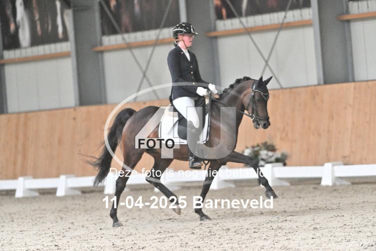 250411 0164