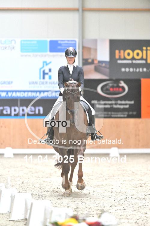 250411 0241