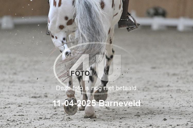 250411 0396