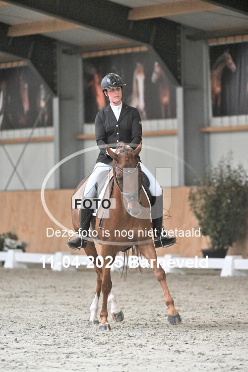 250411 0482