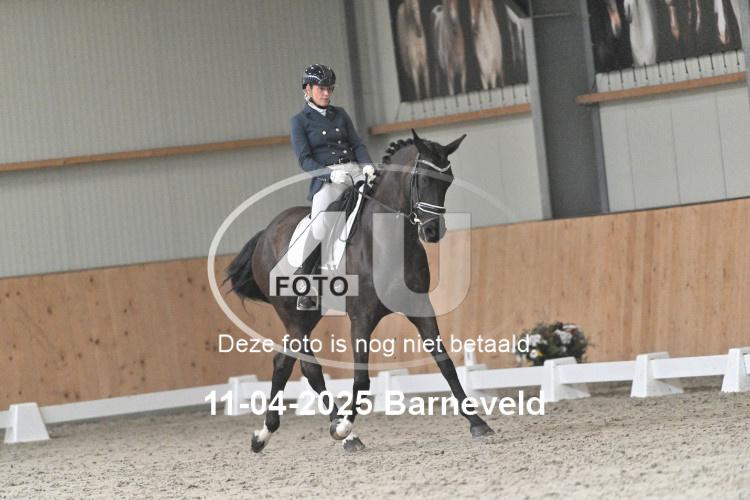 250411 0545