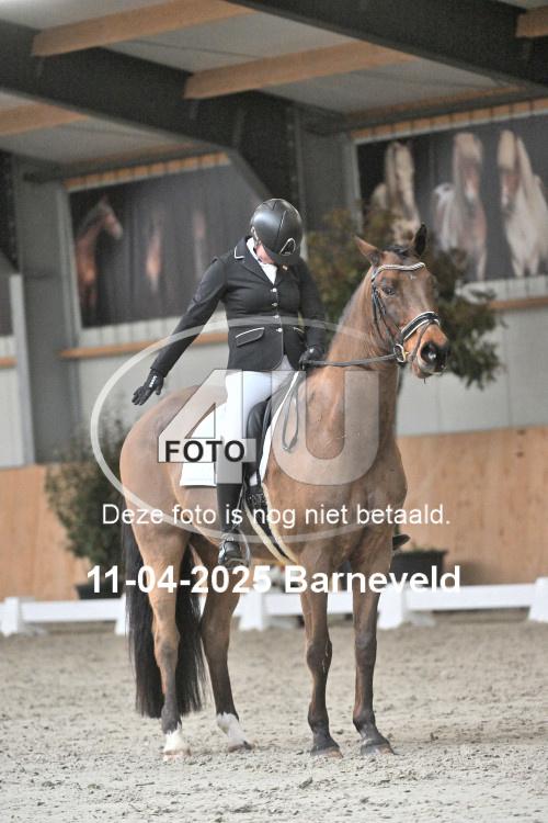 250411 0590