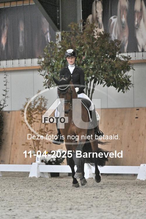 250411 1141