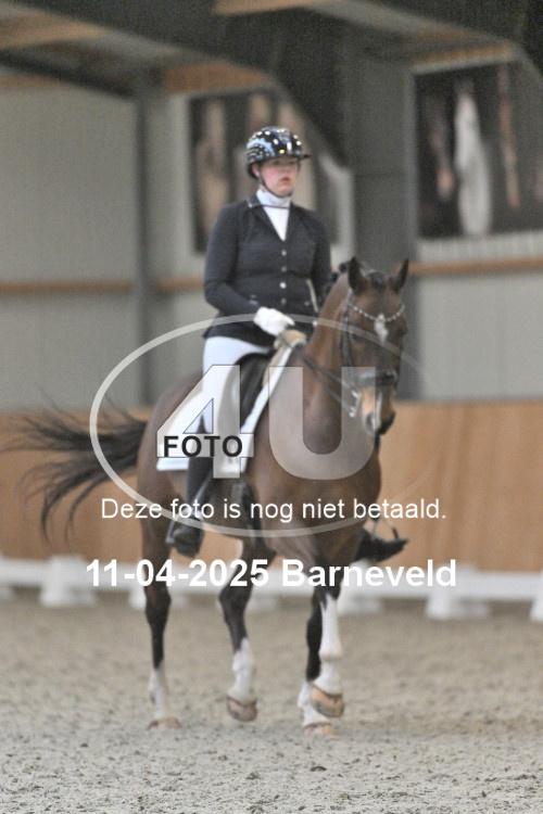 250411 1181