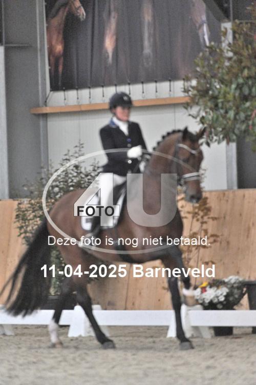 250411 1284