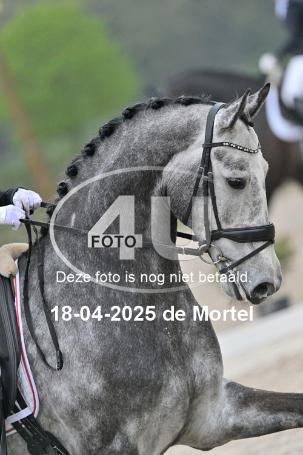 250418 0412