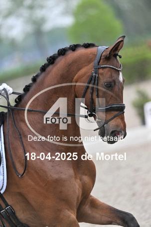 250418 0647