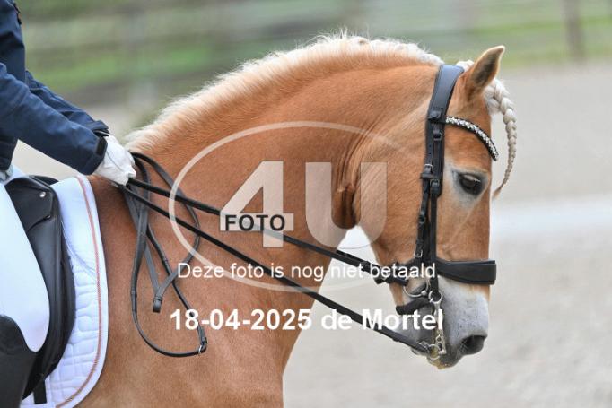 250418 0688