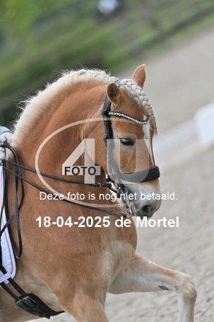 250418 1000