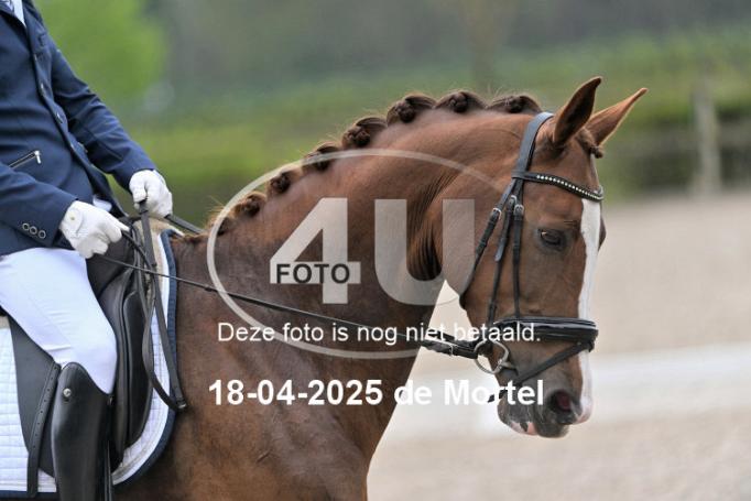 250418 1219