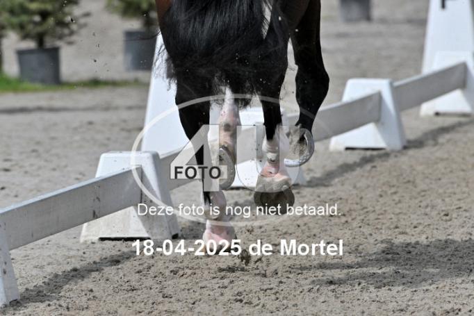 250418 1589