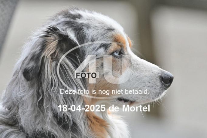 250418 1881