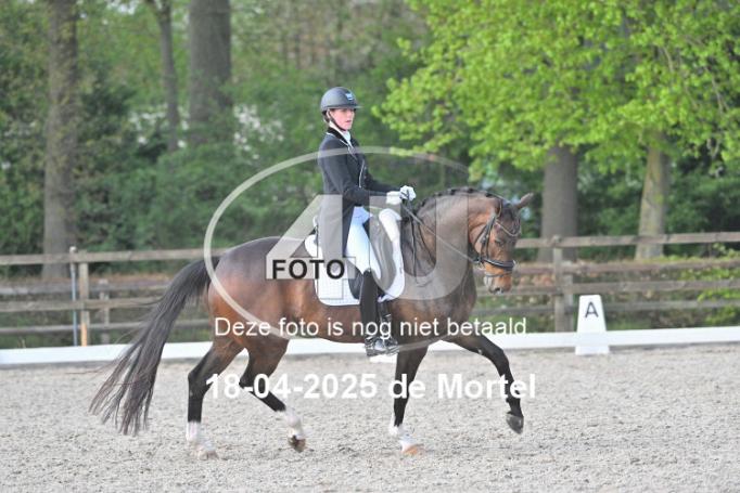 250418 2494