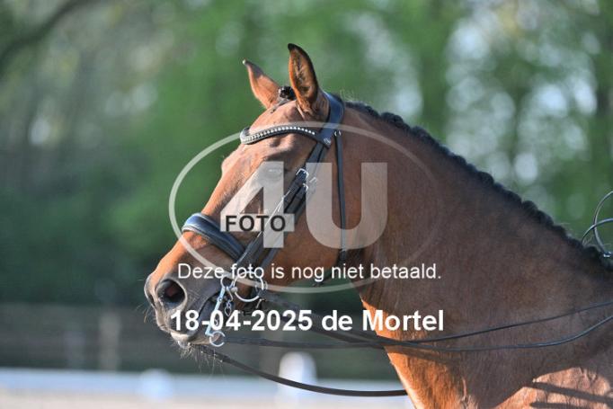 250418 3252